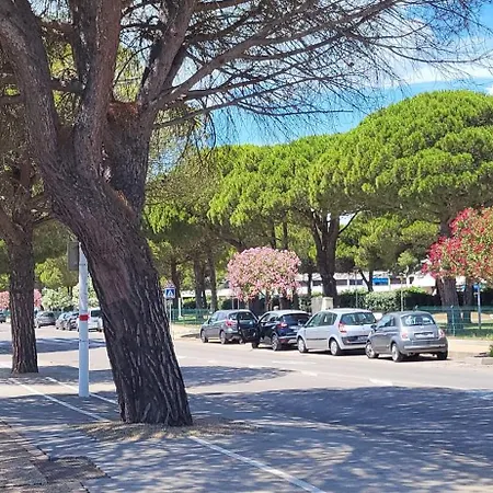 Le Gallion Piscine Et Commerces 1 De France Daire Le Grau-du-Roi